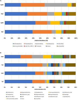 Composition, Structure, and PGPR Traits of the Rhizospheric Bacterial Communities Associated With Wild and Cultivated Echinocactus platyacanthus and Neobuxbaumia polylopha